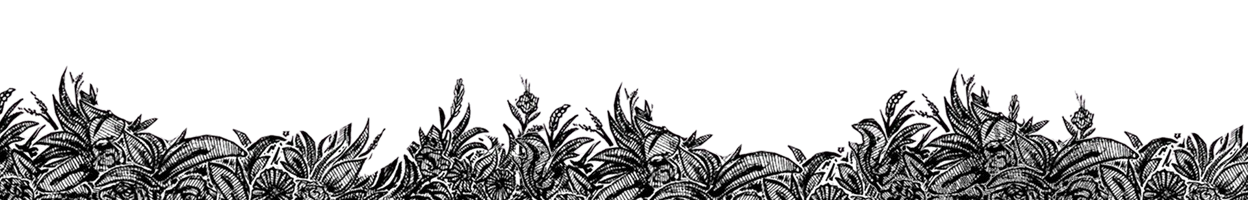 Base inferior decorativa